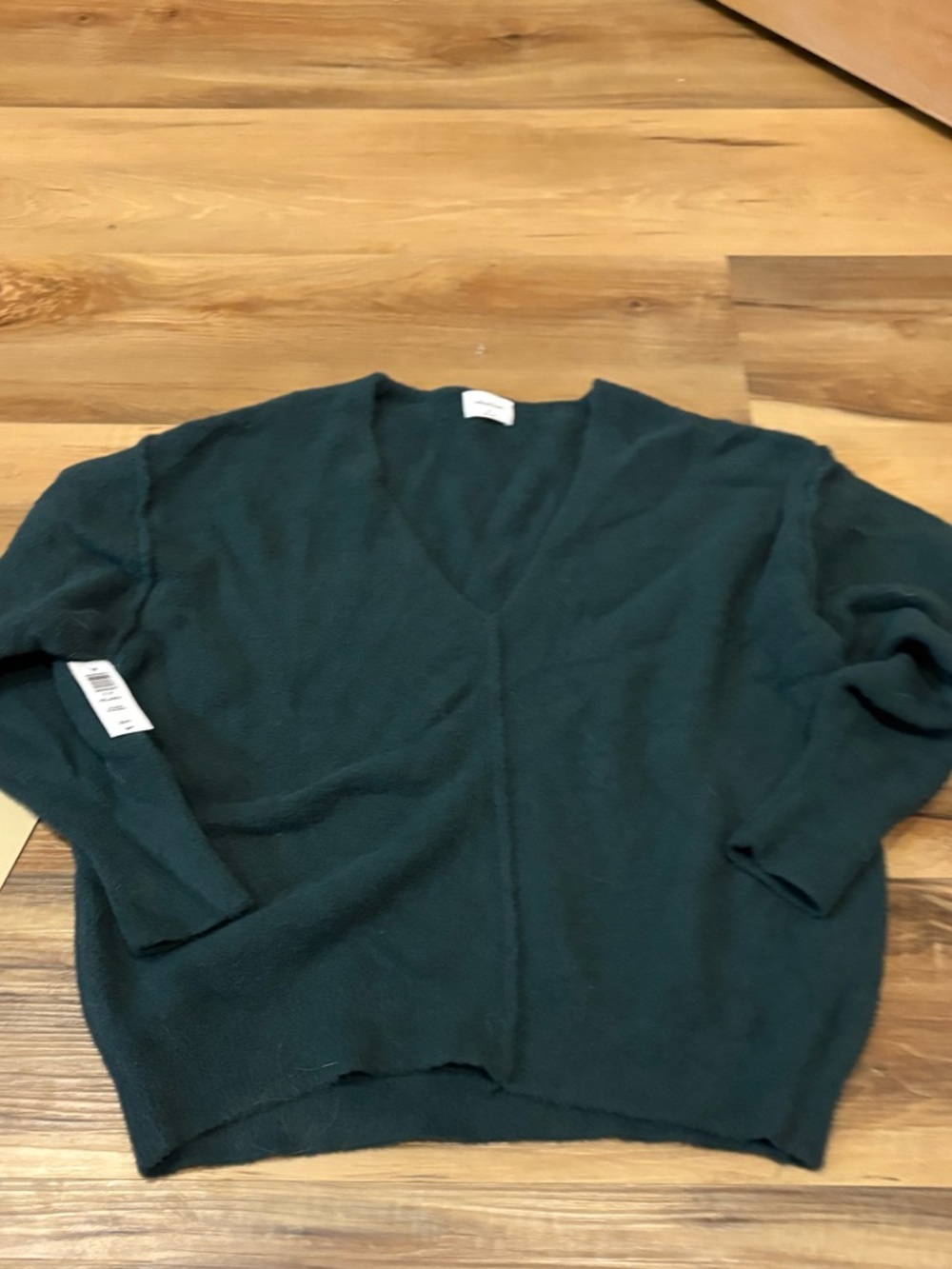Aritzia Wilfred V-Neck Sweater in Scarab Green